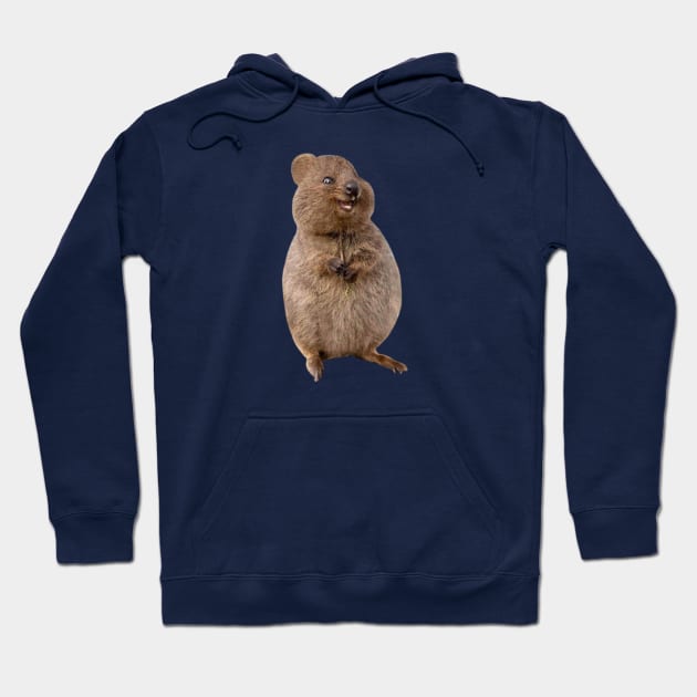 Cute quokka Hoodie by ballooonfish